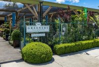 Local Shops That Sell Beautiful Indoor Greenery Local Shops That Sell Beautiful Indoor Greenery