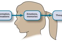 The Psychology Behind Buying Home Decorations The Psychology Behind Buying Home Decorations