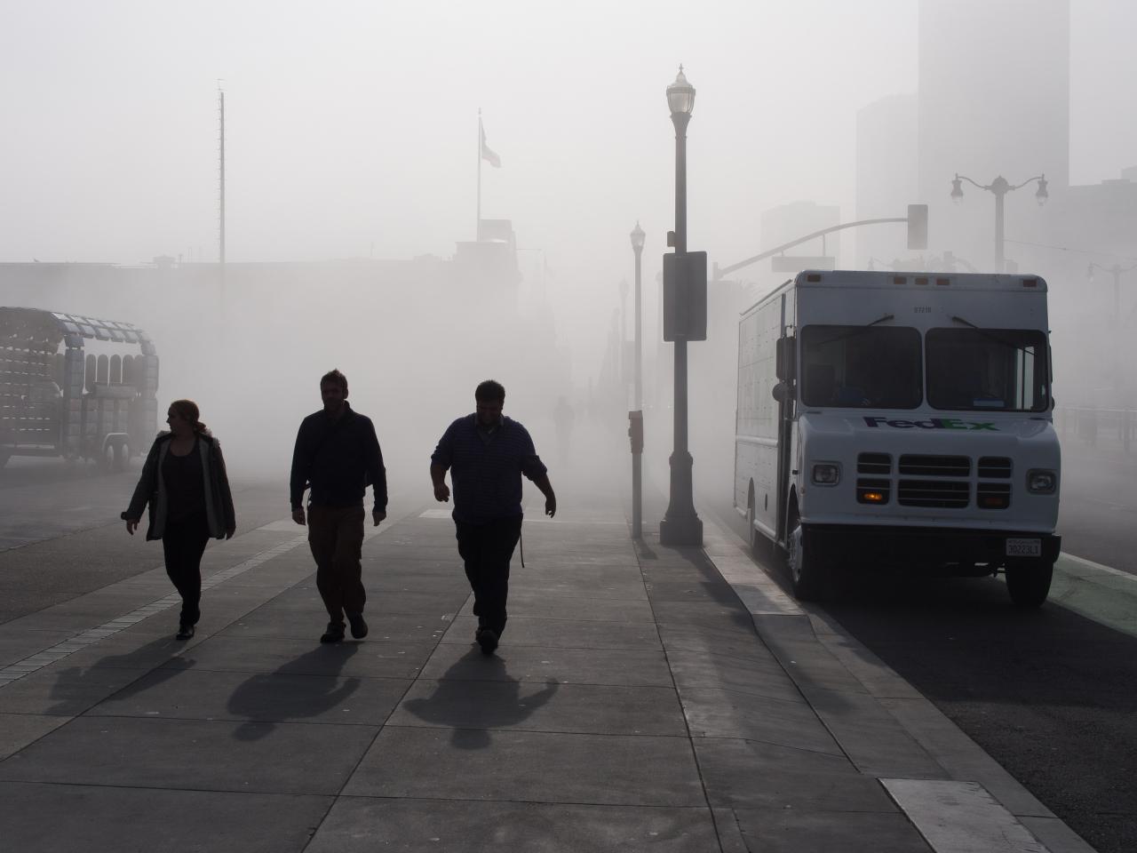 Emerging Fashion Trends That Are Dominating the Market