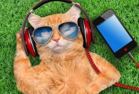 How Smart Marketing Turns Gadgets into Everyday Essentials