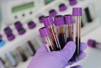 When Test Drives Feel Like Conversations