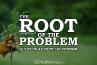 Why People Fall in Love with Beautiful Spaces