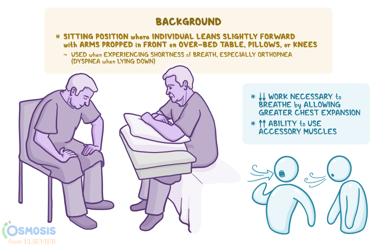 What Are The Positions In An Llc at Mickey Munos blog How to Position BI Products for Cross-Department Use