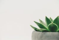 How Decor Changes the Way We Feel at Home