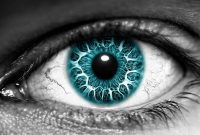 The Human Side of Choosing the Right Insurance Policy